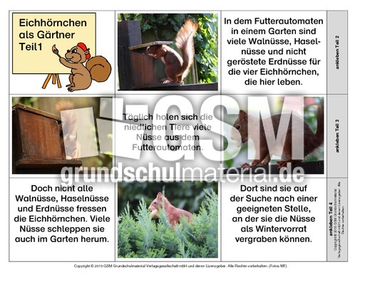 Leporello-Eichhörnchen-Geschichten-3.pdf